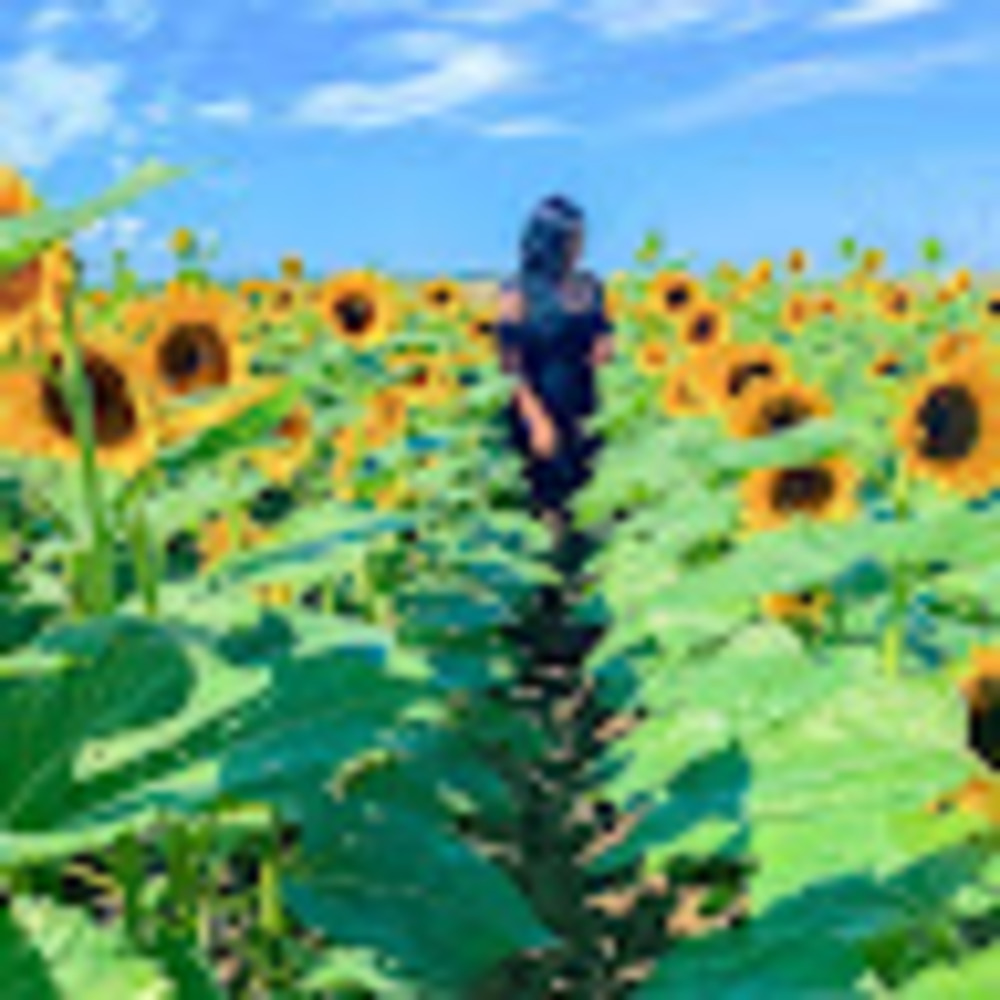 Meet your Posher, Lauren